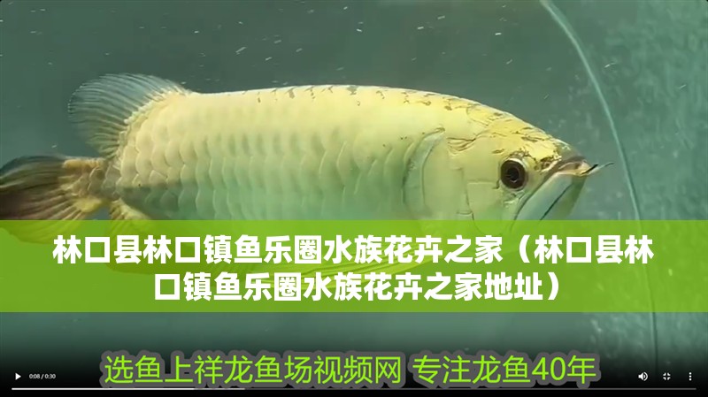 林口縣林口鎮魚樂圈水族花卉之家（林口縣林口鎮魚樂圈水族花卉之家地址）