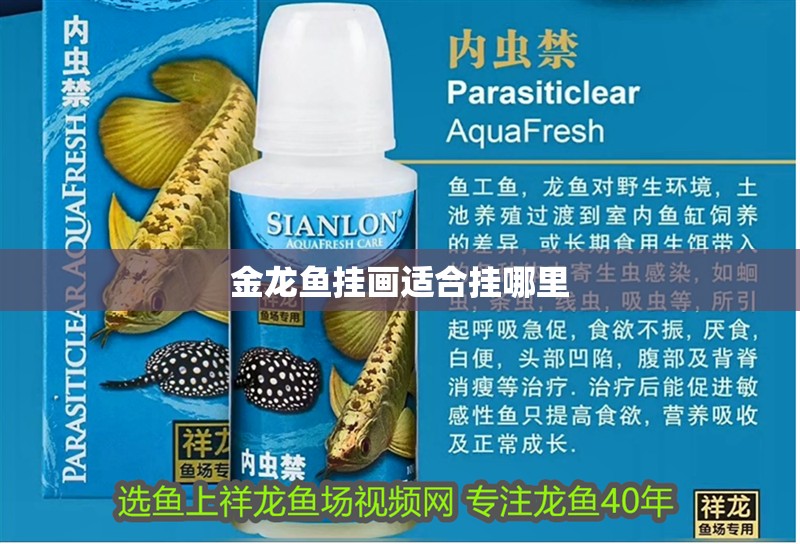 金龍魚掛畫適合掛哪里