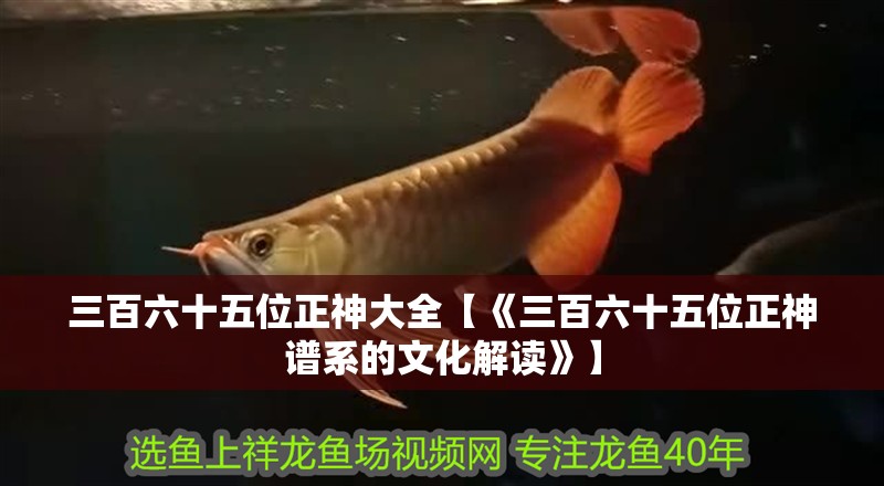 三百六十五位正神大全【《三百六十五位正神譜系的文化解讀》】