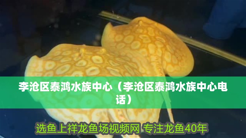 李滄區泰鴻水族中心（李滄區泰鴻水族中心電話）