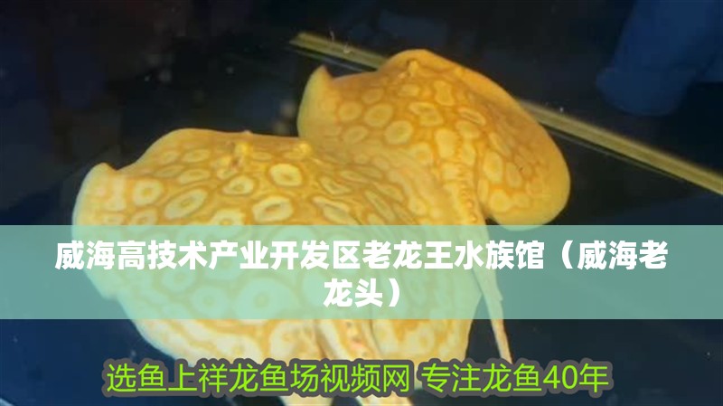 威海高技術產業開發區老龍王水族館(威海老龍頭) 全國水族館企業名錄 第2張 威海高技術產業開發區老龍王水族館(威海老龍頭) 威海高技術產業開發區老龍王水族館(威海老龍頭) 全國水族館企業名錄 第2張