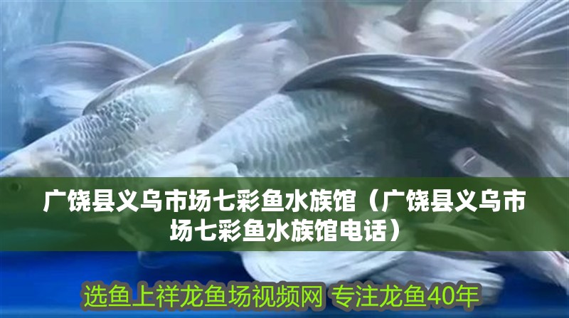 廣饒縣義烏市場七彩魚水族館（廣饒縣義烏市場七彩魚水族館電話）
