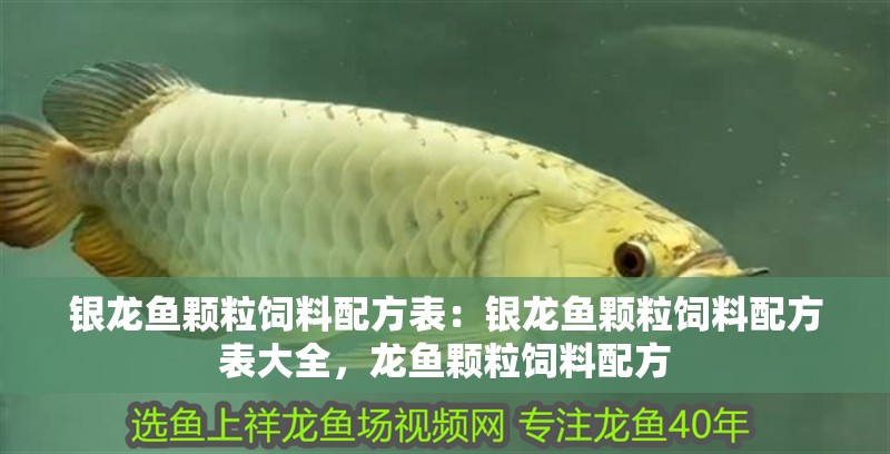 銀龍魚顆粒飼料配方表：銀龍魚顆粒飼料配方表大全，龍魚顆粒飼料配方