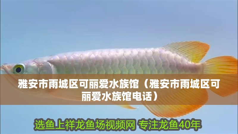 雅安市雨城區(qū)可麗愛水族館（雅安市雨城區(qū)可麗愛水族館電話） 雅安市雨城區(qū)可麗愛水族館（雅安市雨城區(qū)可麗愛水族館電話） 全國水族館企業(yè)名錄 第2張