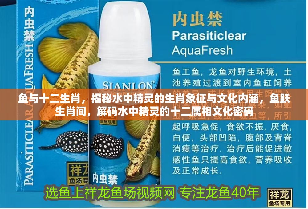 魚與十二生肖，揭秘水中精靈的生肖象征與文化內涵，魚躍生肖間，解碼水中精靈的十二屬相文化密碼