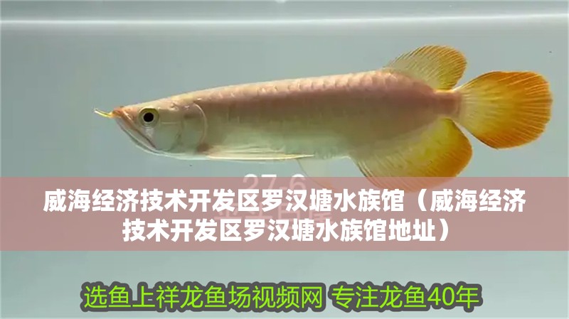 威海經濟技術開發區羅漢塘水族館（威海經濟技術開發區羅漢塘水族館地址）