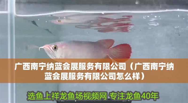 廣西南寧納藍(lán)會(huì)展服務(wù)有限公司（廣西南寧納藍(lán)會(huì)展服務(wù)有限公司怎么樣）