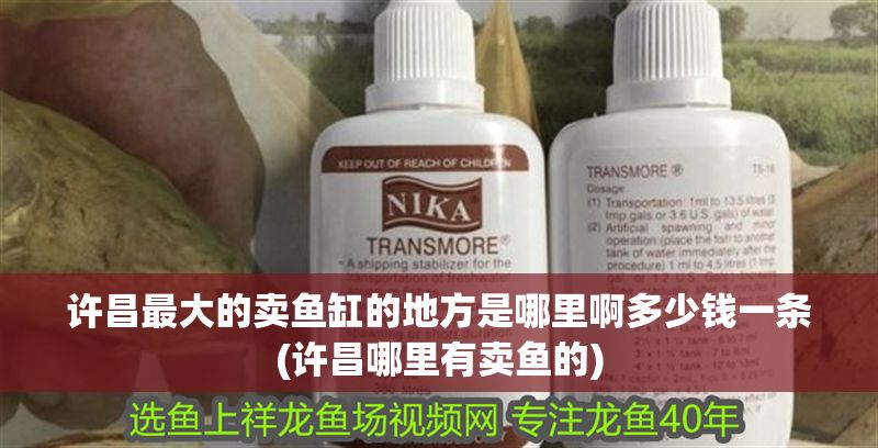 許昌最大的賣魚缸的地方是哪里啊多少錢一條(許昌哪里有賣魚的)