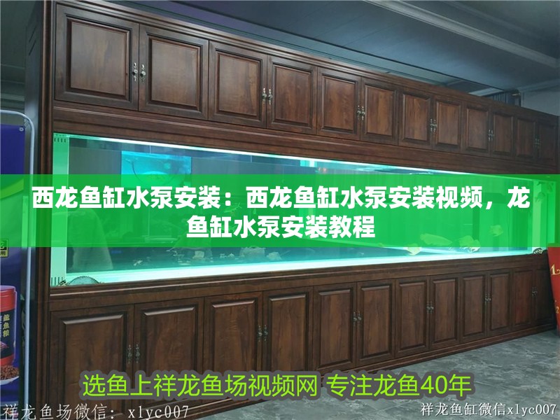 西龍魚缸水泵安裝：西龍魚缸水泵安裝視頻，龍魚缸水泵安裝教程