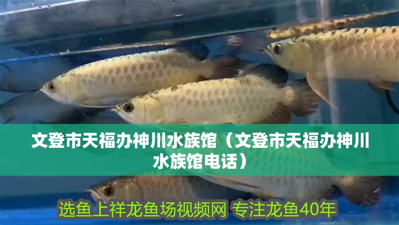 文登市天福辦神川水族館（文登市天福辦神川水族館電話）