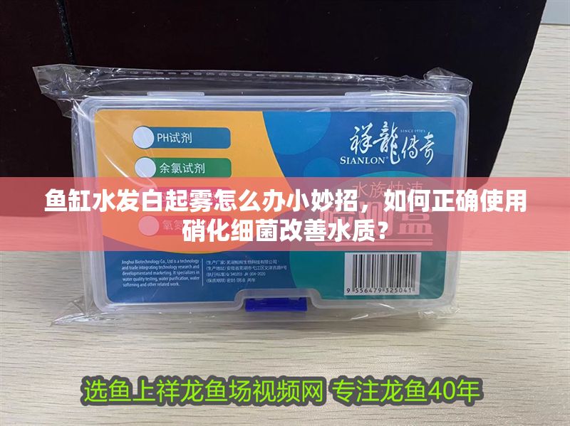 魚缸水發白起霧怎么辦小妙招，如何正確使用硝化細菌改善水質？ 魚缸水發白起霧怎么辦小妙招，如何正確使用硝化細菌改善水質？ 魚缸百科 第7張