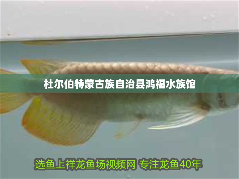 杜爾伯特蒙古族自治縣鴻福水族館