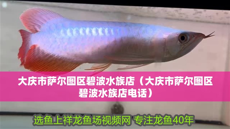 大慶市薩爾圖區(qū)碧波水族店（大慶市薩爾圖區(qū)碧波水族店電話） 大慶市薩爾圖區(qū)碧波水族店（大慶市薩爾圖區(qū)碧波水族店電話） 全國水族館企業(yè)名錄 第2張