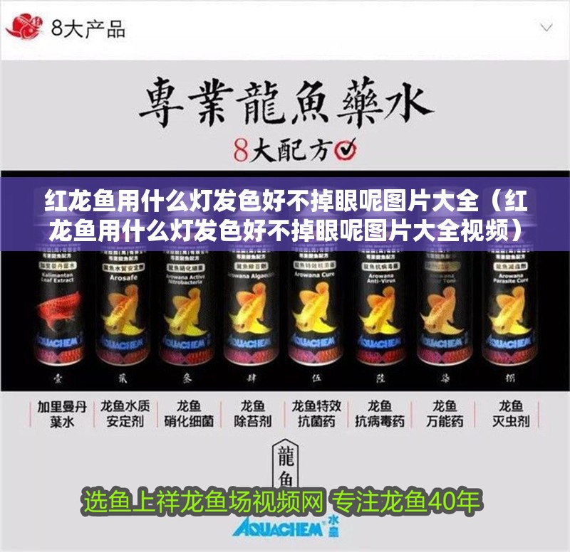紅龍魚用什么燈發色好不掉眼呢圖片大全（紅龍魚用什么燈發色好不掉眼呢圖片大全視頻）