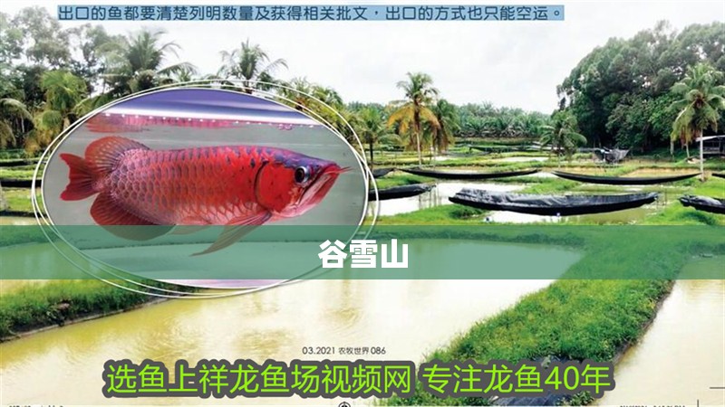 谷雪山 全國水族館企業名錄 第2張 谷雪山 谷雪山 全國水族館企業名錄 第2張