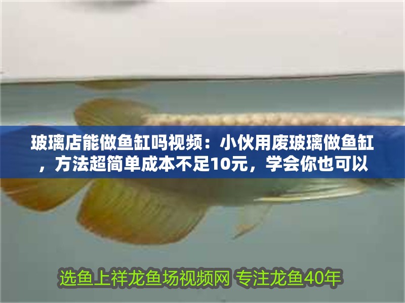 玻璃店能做魚缸嗎視頻：小伙用廢玻璃做魚缸，方法超簡單成本不足10元，學會你也可以