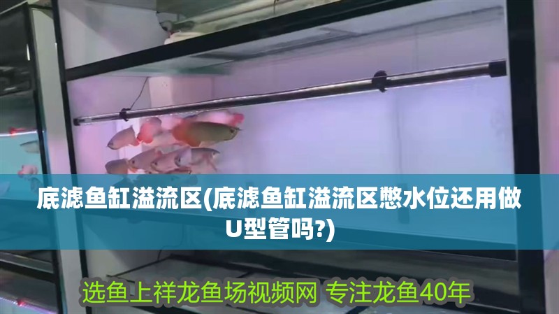 底濾魚缸溢流區(底濾魚缸溢流區憋水位還用做U型管嗎?)
