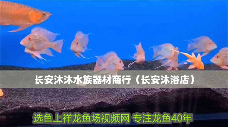 長安沐沐水族器材商行(長安沐浴店) 全國水族館企業名錄 第2張 長安沐沐水族器材商行(長安沐浴店) 長安沐沐水族器材商行(長安沐浴店) 全國水族館企業名錄 第2張