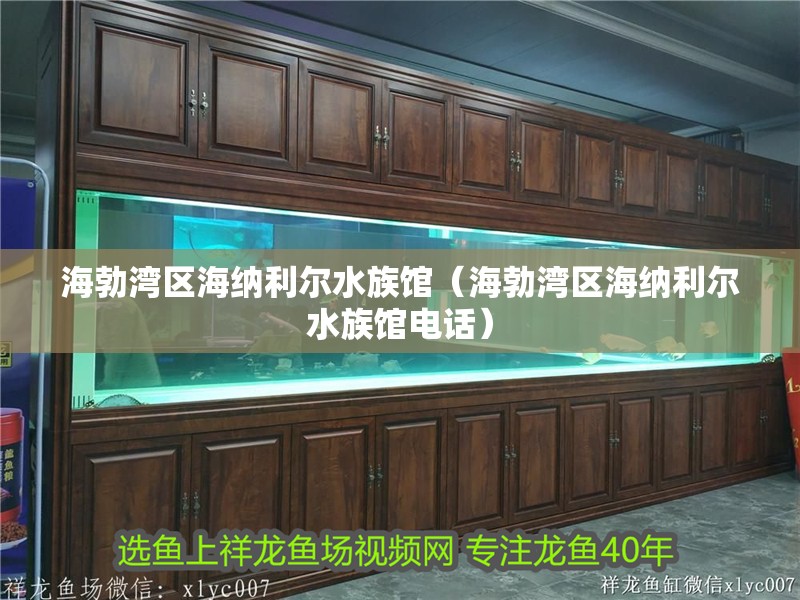 海勃灣區(qū)海納利爾水族館（海勃灣區(qū)海納利爾水族館電話）
