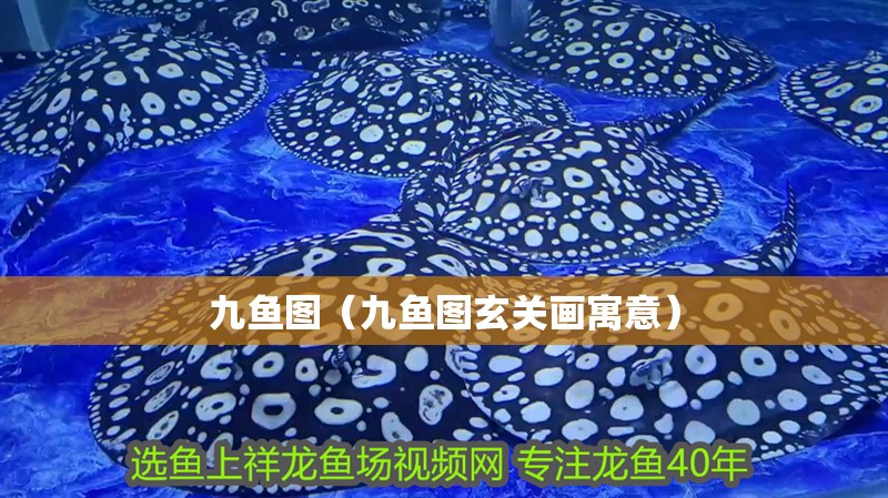 九魚圖（九魚圖玄關畫寓意）