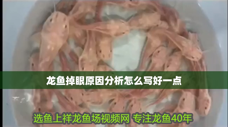 龍魚掉眼原因分析怎么寫好一點(diǎn)