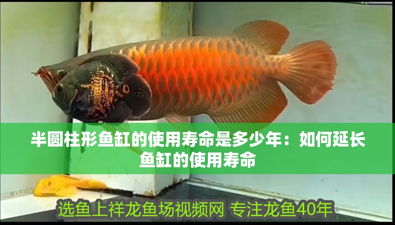 半圓柱形魚缸的使用壽命是多少年：如何延長魚缸的使用壽命