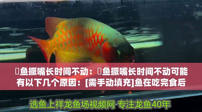 魟魚撅嘴長時間不動：魟魚撅嘴長時間不動可能有以下幾個原因：[需手動填充]魚在吃完食后不太愛動