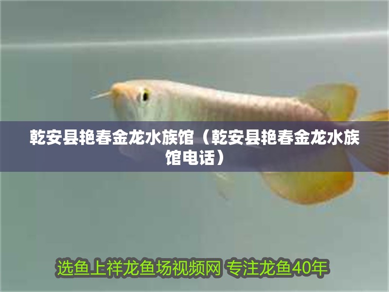 乾安縣艷春金龍水族館（乾安縣艷春金龍水族館電話）