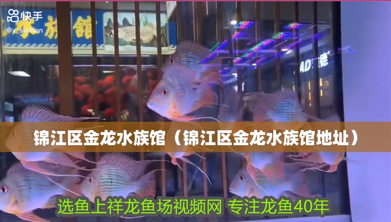 錦江區金龍水族館（錦江區金龍水族館地址） 錦江區金龍水族館（錦江區金龍水族館地址） 全國水族館企業名錄 第2張