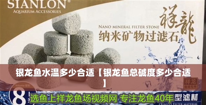 銀龍魚水溫多少合適【銀龍魚總堿度多少合適】