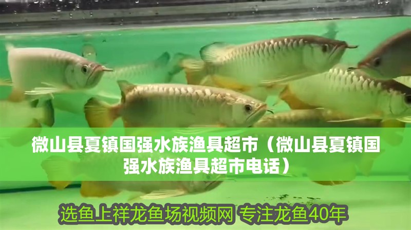 微山縣夏鎮國強水族漁具超市（微山縣夏鎮國強水族漁具超市電話）