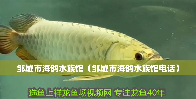 鄒城市海韻水族館（鄒城市海韻水族館電話）