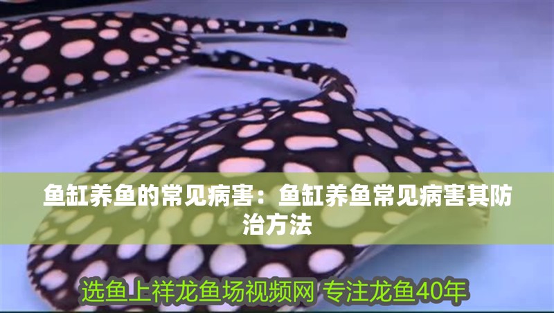 魚缸養(yǎng)魚的常見病害：魚缸養(yǎng)魚常見病害其防治方法