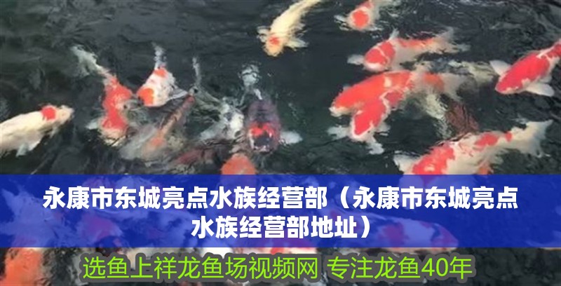 永康市東城亮點水族經營部（永康市東城亮點水族經營部地址） 永康市東城亮點水族經營部（永康市東城亮點水族經營部地址） 全國水族館企業名錄 第2張