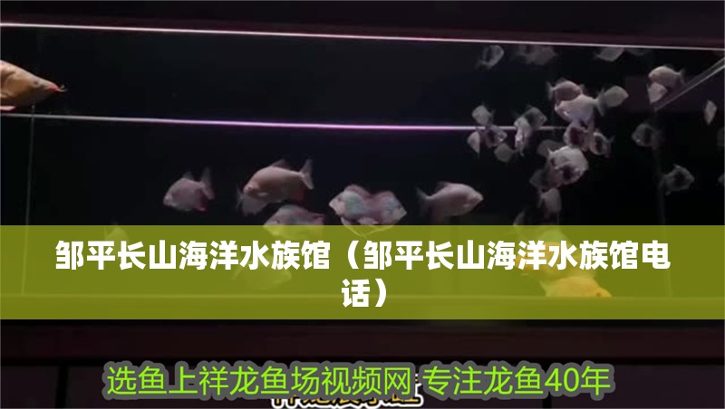 鄒平長山海洋水族館（鄒平長山海洋水族館電話） 鄒平長山海洋水族館（鄒平長山海洋水族館電話） 全國水族館企業(yè)名錄 第2張