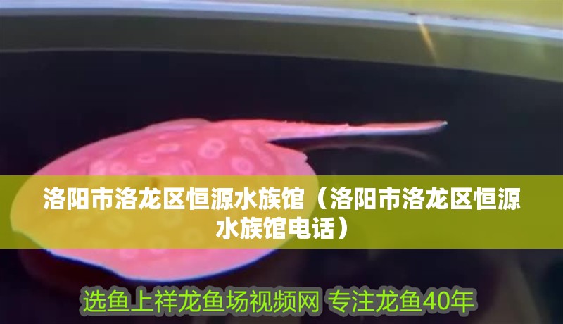 洛陽(yáng)市洛龍區(qū)恒源水族館（洛陽(yáng)市洛龍區(qū)恒源水族館電話(huà)）