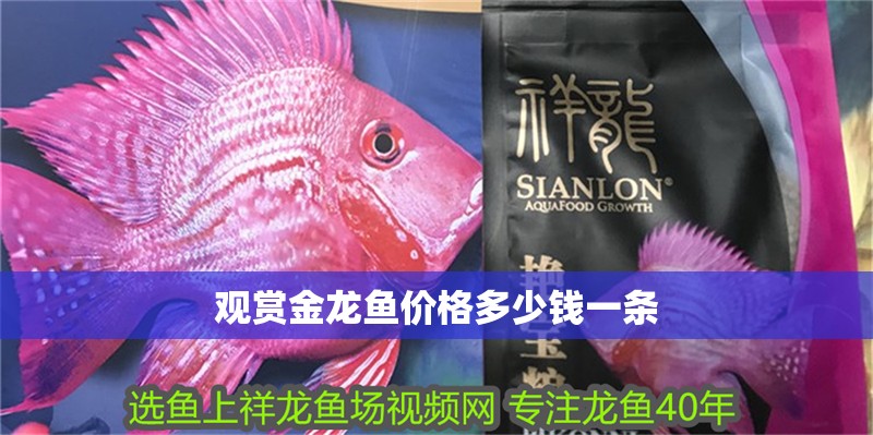 觀賞金龍魚價(jià)格多少錢一條