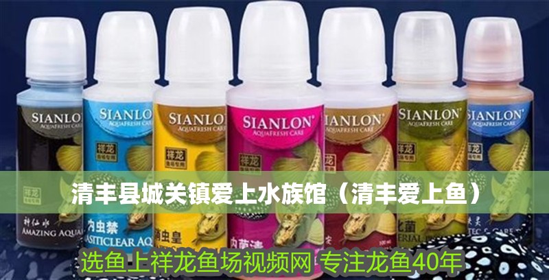 清豐縣城關鎮愛上水族館（清豐愛上魚）