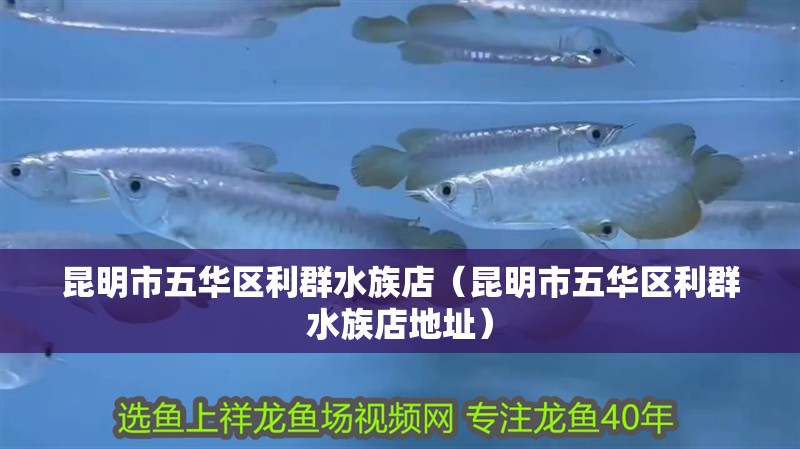 昆明市五華區(qū)利群水族店（昆明市五華區(qū)利群水族店地址）