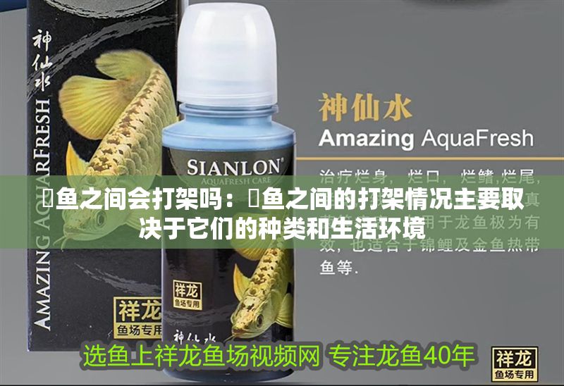 魟魚之間會打架嗎：魟魚之間的打架情況主要取決于它們的種類和生活環境 魟魚之間會打架嗎：魟魚之間的打架情況主要取決于它們的種類和生活環境 魟魚百科 第2張