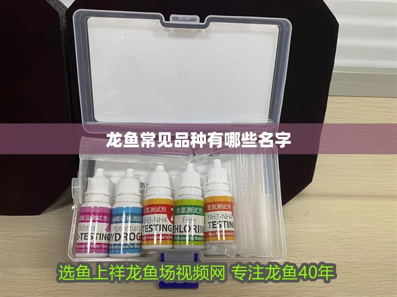 龍魚常見品種有哪些名字
