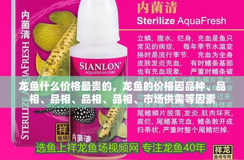 龍魚什么價格最貴的，龍魚的價格因品種、品相、品相、品相、品相、市場供需等因素
