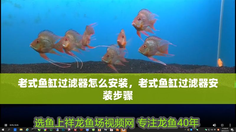 老式魚缸過濾器怎么安裝，老式魚缸過濾器安裝步驟 老式魚缸過濾器怎么安裝，老式魚缸過濾器安裝步驟 魚缸百科 第2張