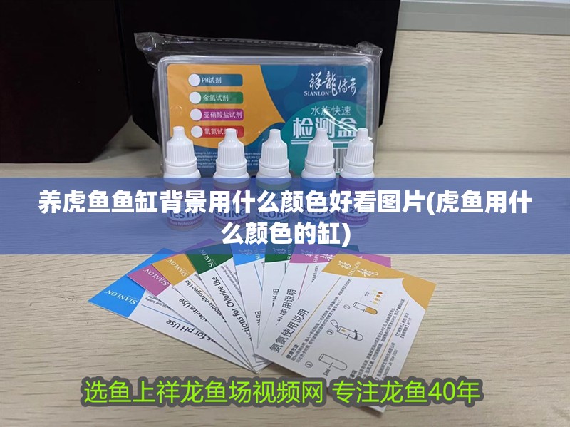 養(yǎng)虎魚魚缸背景用什么顏色好看圖片(虎魚用什么顏色的缸)