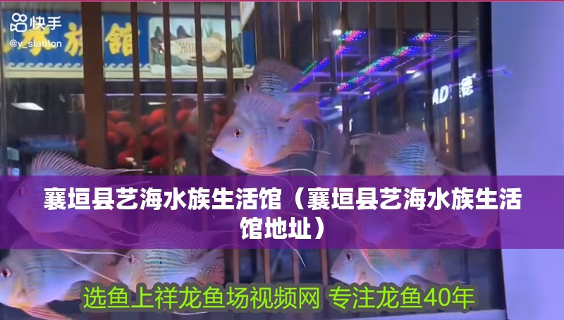 襄垣縣藝海水族生活館（襄垣縣藝海水族生活館地址）