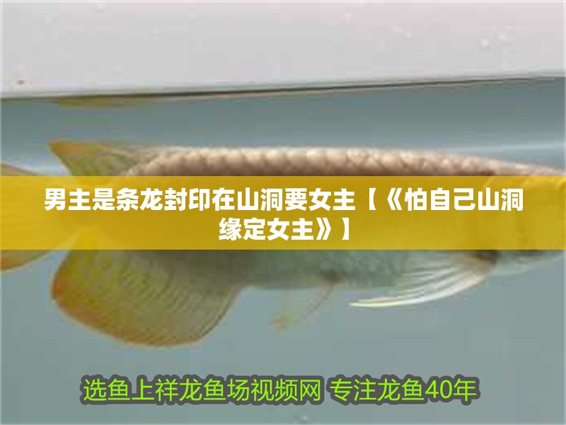 男主是條龍封印在山洞要女主【《怕自己山洞緣定女主》】