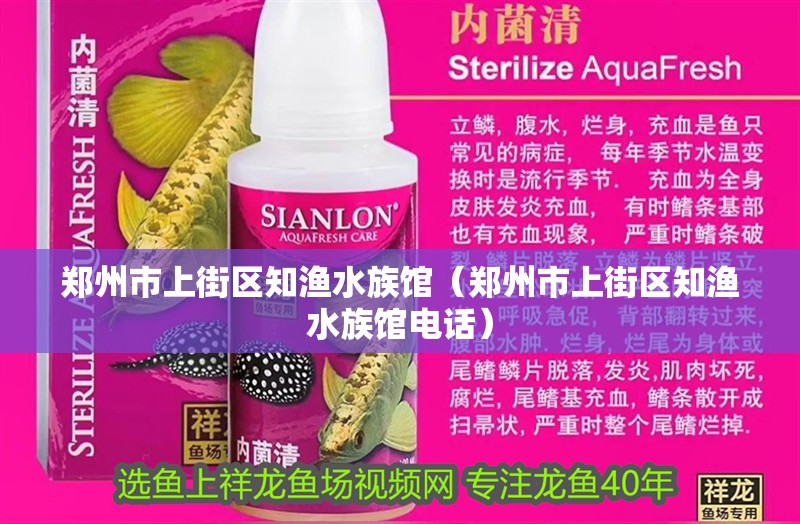 鄭州市上街區(qū)知漁水族館（鄭州市上街區(qū)知漁水族館電話）