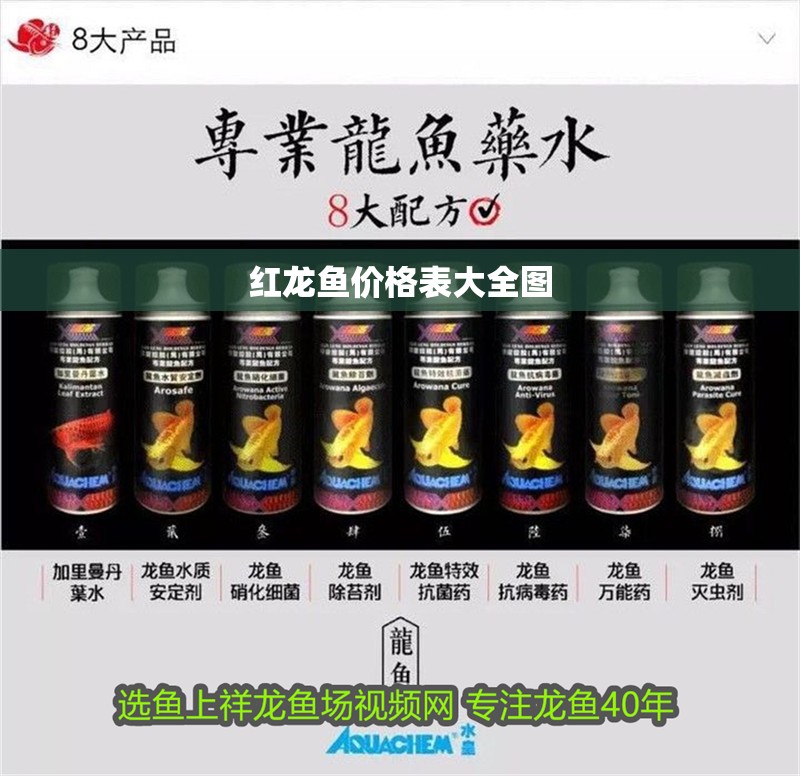 紅龍魚價格表大全圖