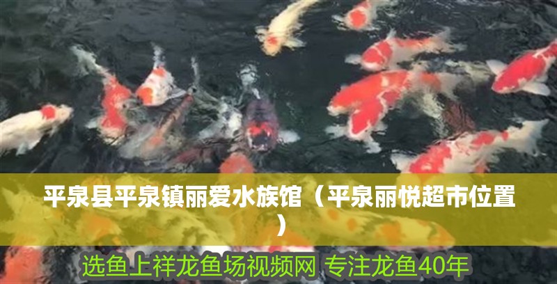 平泉縣平泉鎮麗愛水族館(平泉麗悅超市位置) 全國水族館企業名錄 第2張 平泉縣平泉鎮麗愛水族館(平泉麗悅超市位置) 平泉縣平泉鎮麗愛水族館(平泉麗悅超市位置) 全國水族館企業名錄 第2張
