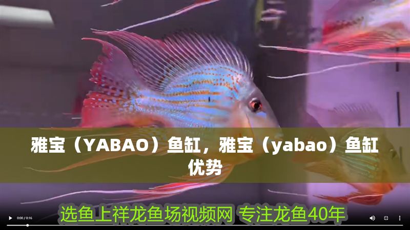 雅寶（YABAO）魚缸，雅寶（yabao）魚缸優勢 雅寶（YABAO）魚缸，雅寶（yabao）魚缸優勢 魚缸百科 第1張